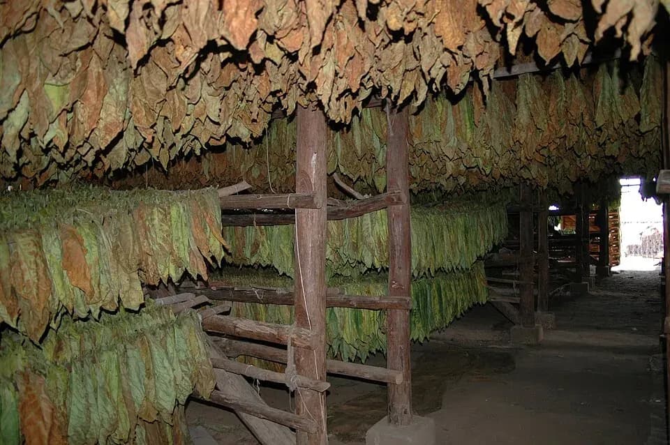 Secaderos, balsas y vallados