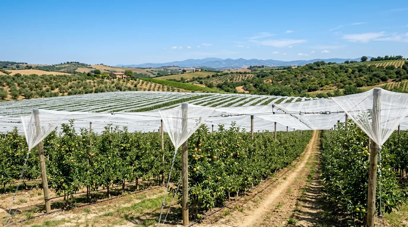 Guía completa: cómo proteger su cultivo del granizo