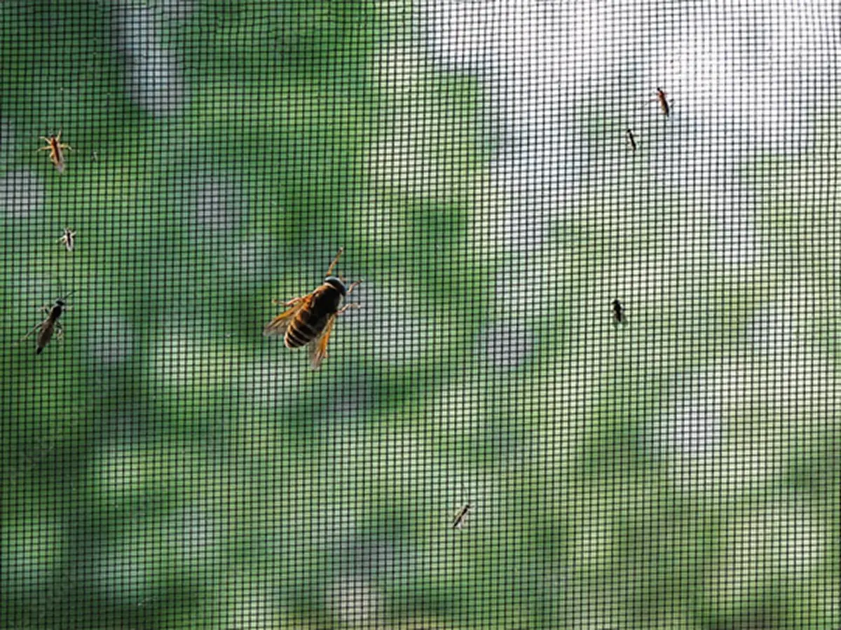 Malla anti-insectos / Mosquitera