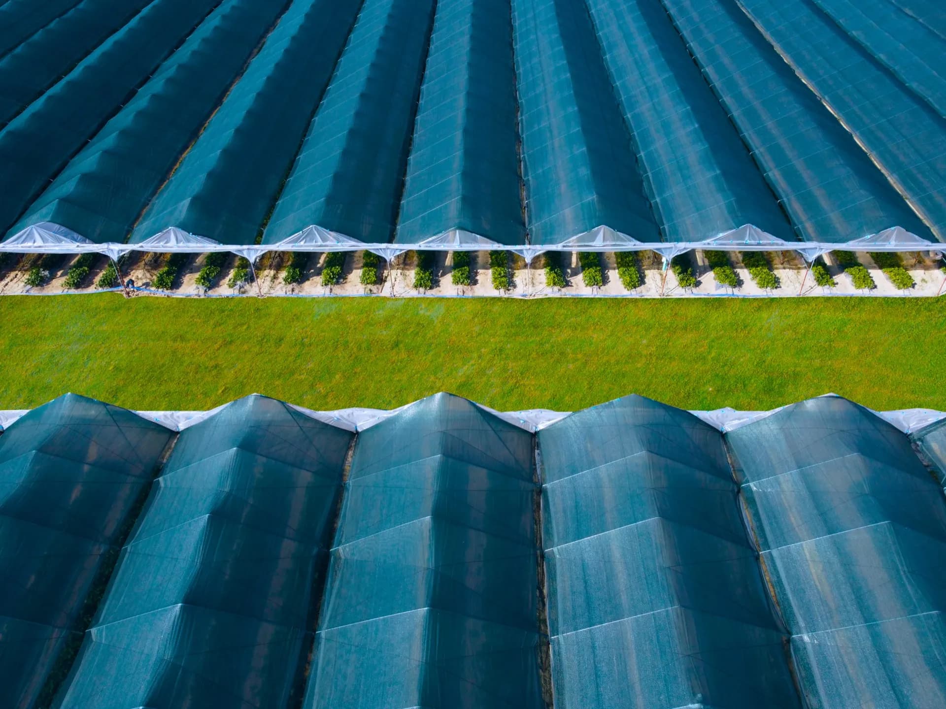 Siatka cieniująca HDPE zamontowana na polu — producent Textil Villa de Pego